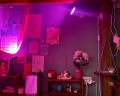 Chickadee Coliving: отзыв от Арина Пушкарева