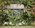 Wind Rose Hotel&SPA: отзыв от Анастасия Хиль