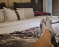 Aria: отзыв от Денис Ушаков