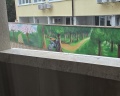 River star: отзыв от Алена П