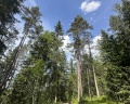 Klever house: отзыв от Сергей Токаренко