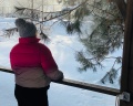 Шышки: отзыв от Стелла Шевелёва