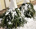 Старый дворик: отзыв от Наталья Сидорович