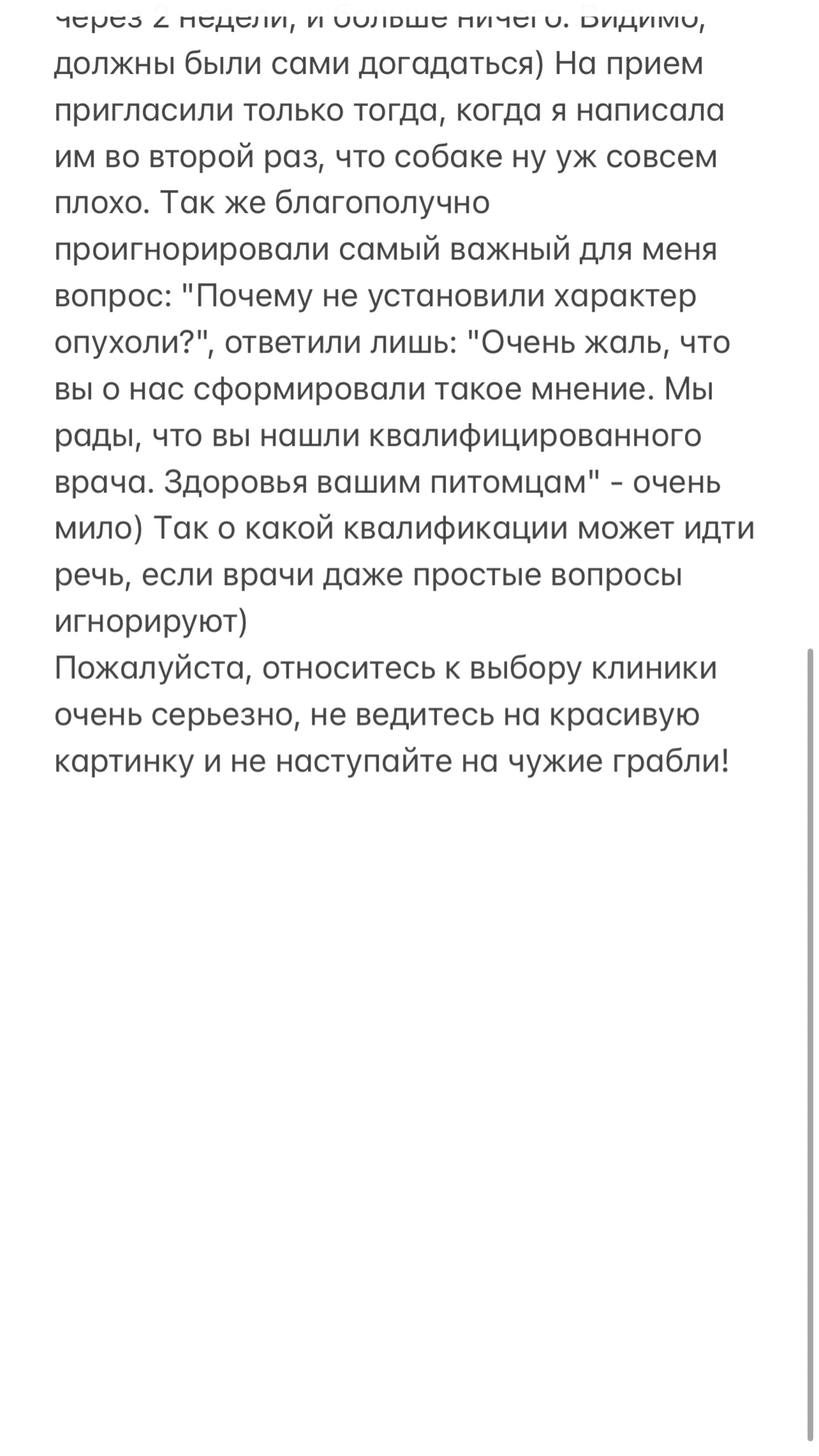 Кот Бегемот, ветеринарная клиника, ЖК Уют-Сити, Александровский проспект,  10, Березовский — 2ГИС