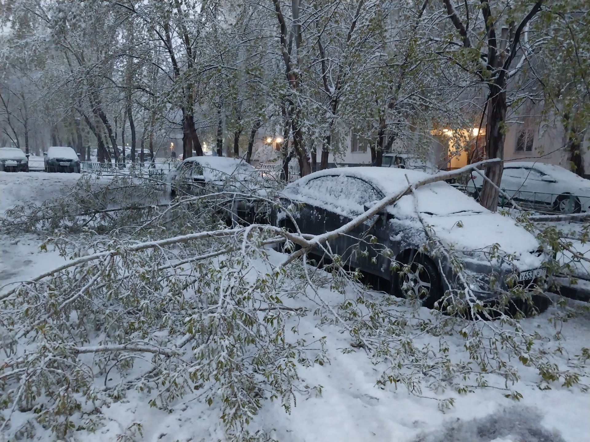 ЛесПаркХоз, Голышева, 1 к2, Тюмень — 2ГИС