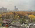 Soluxe Hotel Moscow: отзыв от Юлия П