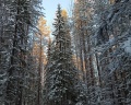 Беломорье: отзыв от Мария Козлова