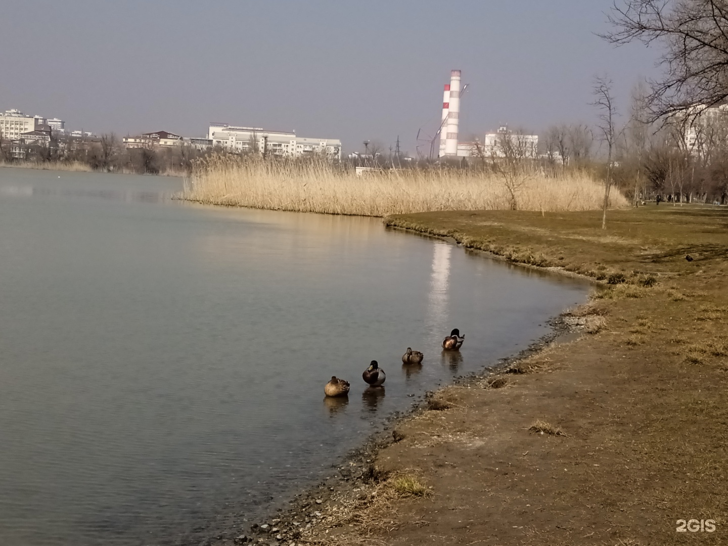 Старая Кубань, городской пляж, Краснодар, Краснодар — 2ГИС