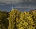 Луна и лотос: отзыв от Мария Фёдоровна Медведева