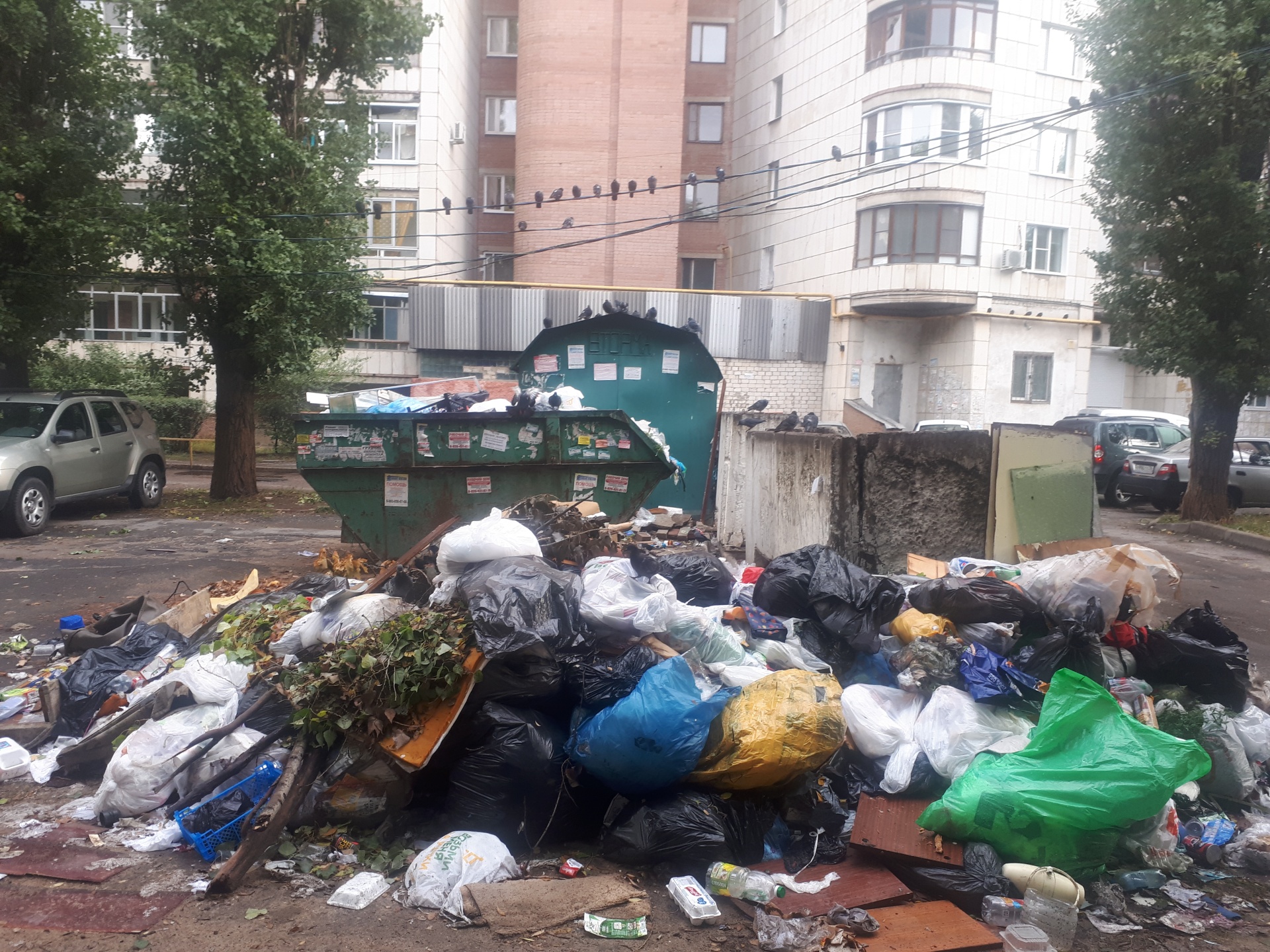 Олимп, управляющая компания, Старых Большевиков, 2, Воронеж — 2ГИС