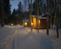 Шишки: отзыв от Артём Ипатьев