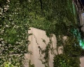The white residence: отзыв от Юлия Ралдугина