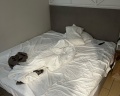 Hotel agave: отзыв от Наиля Максутова
