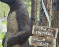 Сила Алтая: отзыв от Ольга Ольга
