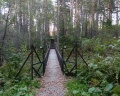 Финские дачи: отзыв от Алёна Керн