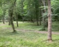 Сытый Кот-Благое Место: отзыв от Антон Харкавый
