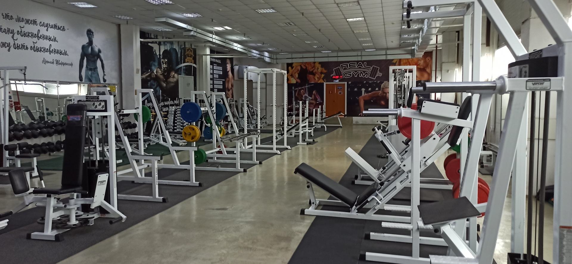 Real gym, ТЦ Белый Хутор, улица Кирова, 306/2, Белогорск — 2ГИС