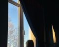 Саблинские Дачи: отзыв от Татьяна Абрамова