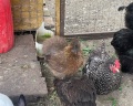 Солнечный склон: отзыв от Мария Егорова