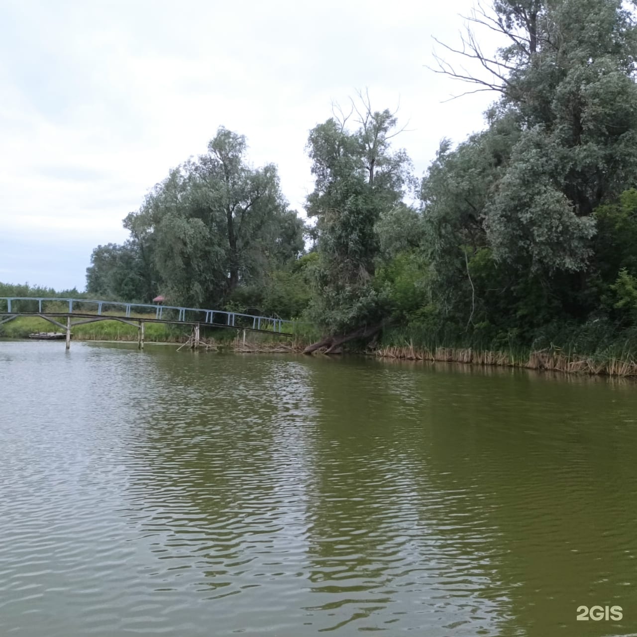 Новосибирск, Место платной рыбалки 