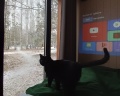 Alpen Camp: отзыв от Юлия Бугианишвили