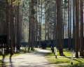 Pinewood resort&SPA: отзыв от Софа ~~