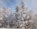 Зюраткуль: отзыв от Эльвира