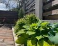 Bungalow parkhouse: отзыв от Арина Стремберг