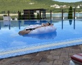 Villa Natali: отзыв от Оксана Шанина