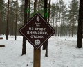 Forest lake: отзыв от Анастасия Толстова