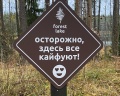 Forest lake: отзыв от Алина Абрамова