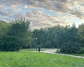 Петровский парк: отзыв от Юрий Kuzmin-seo.ru