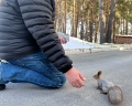 Борвиха hotel&SPA: отзыв от Константин Васькин