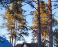 Chernika House: отзыв от Екатерина Бушина