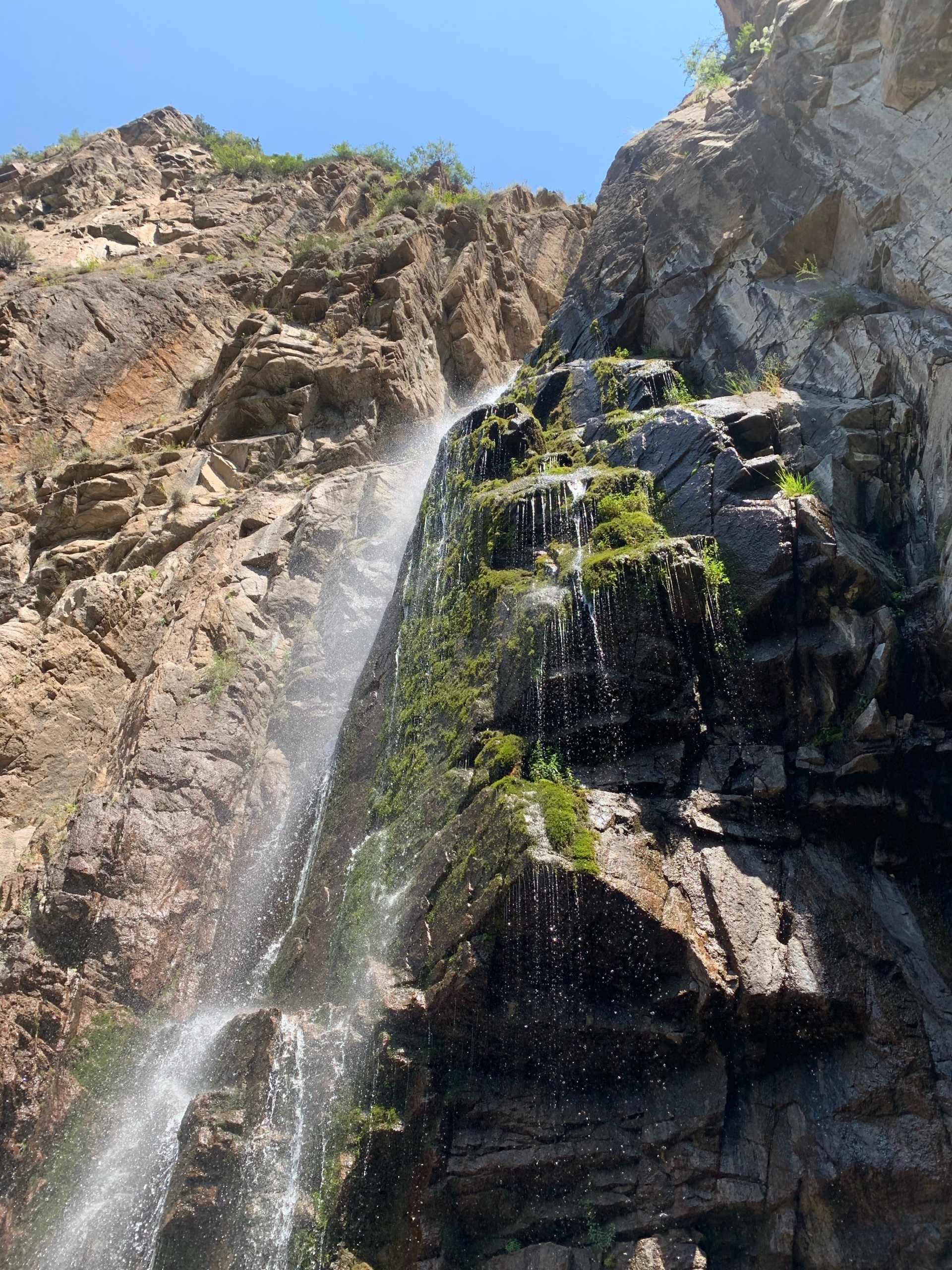 Латинаның ыстық фотосуреттері