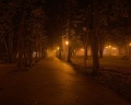 Лефортовский парк: отзыв от Валерия Рыкина