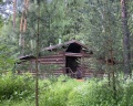 Романов Лес: отзыв от Максим Козлов