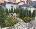 Первый доходный дом: отзыв от Ксения Шатрова