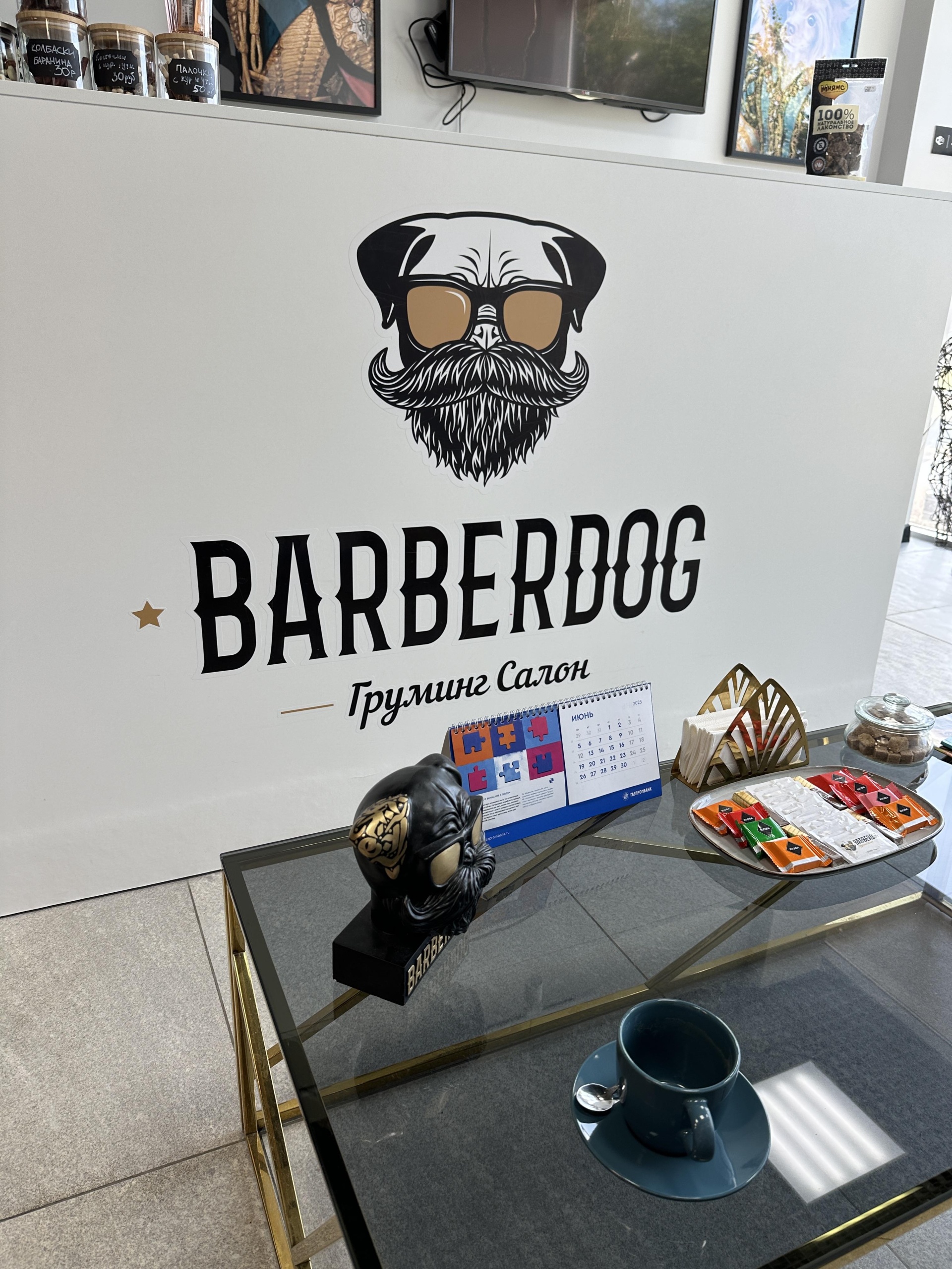 Barberdog, груминг-салон, проспект Гагарина, 7/1, Оренбург — 2ГИС