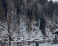 На камушках 3 звезды: отзыв от Мария Балашова