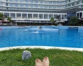 Radisson Collection Парадиз Спа Сочи: отзыв от Тамара Никульшина