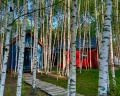 Молодость: отзыв от Марина Порфирьева