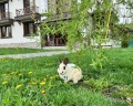 Верхние Голубые озёра: отзыв от Виктория Куприянова