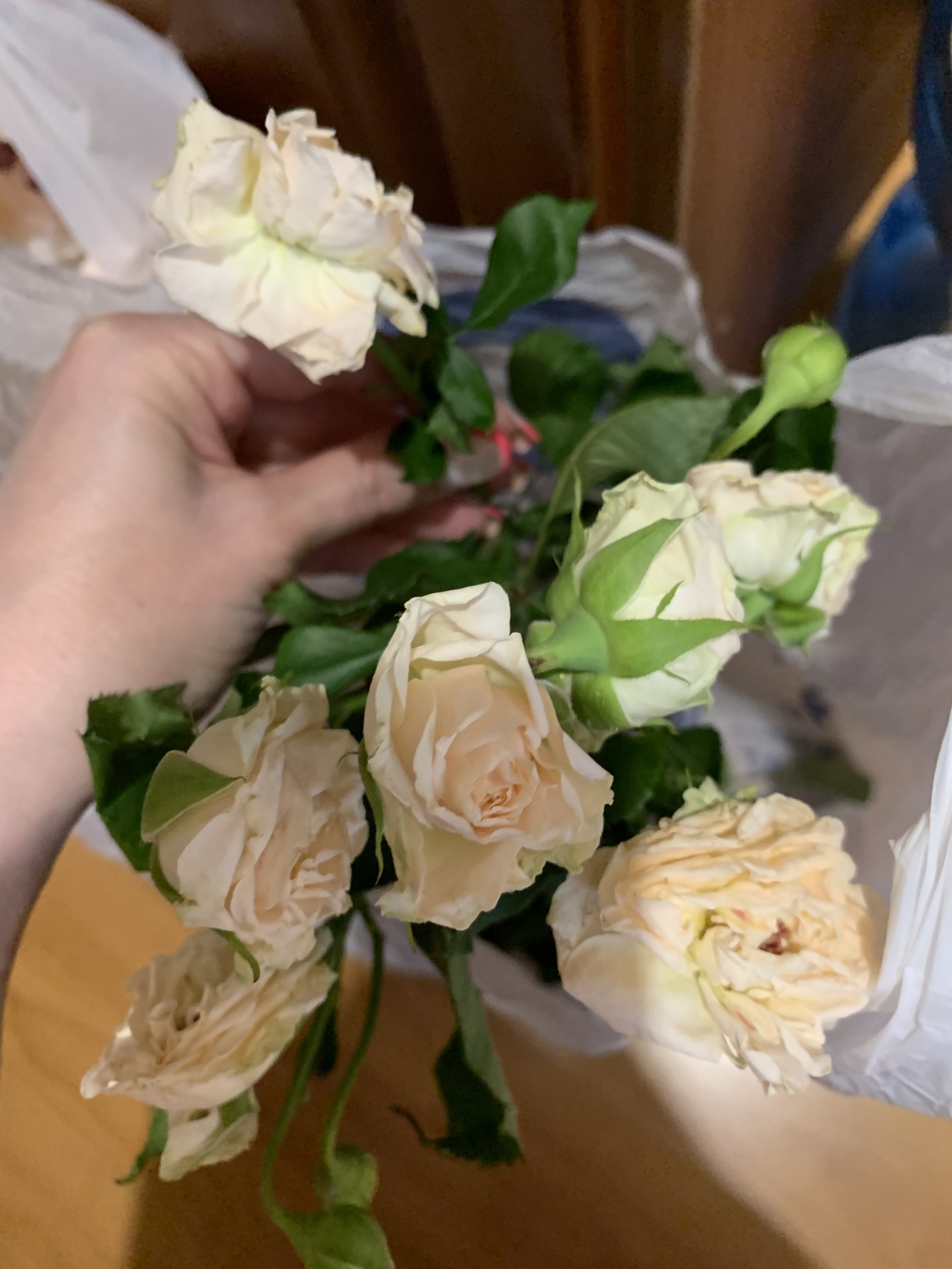 Нефтеюганск ботаник доставка цветов цветы с доставкой в чебоксарах дешево