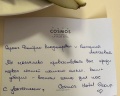 Cosmos Vladikavkaz La Vallee Hotel: отзыв от Екатерина Чаева