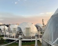 More: отзыв от Ангелина Карсунцева