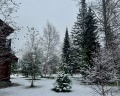 Озерки: отзыв от Елена Коротеева