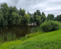 Подсолнухи: отзыв от MAZA FAKA