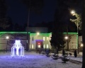 Сосновый бор: отзыв от Вера Ша