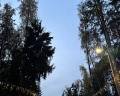 Лагуна Юг: отзыв от Мария Царькова